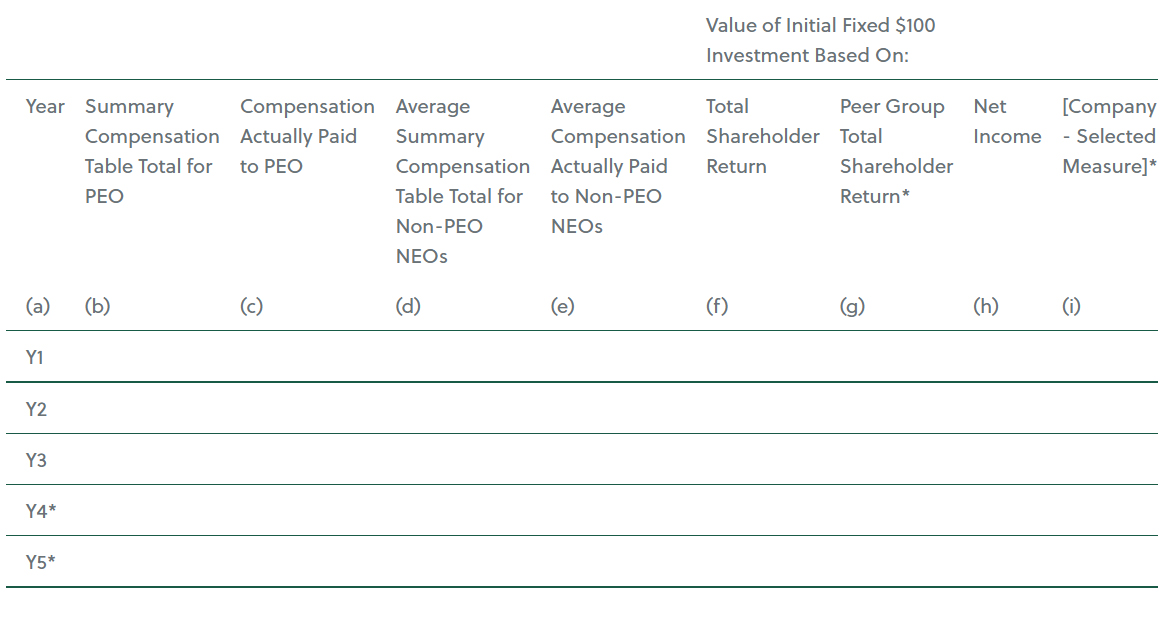 Pay Versus Performance table provided in the SEC’s PVP Rules